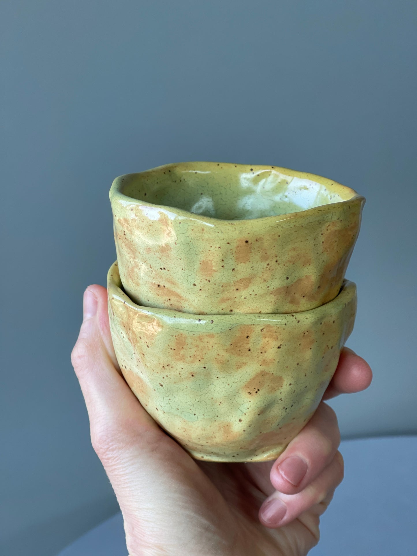 Set of 2 Bell mugs